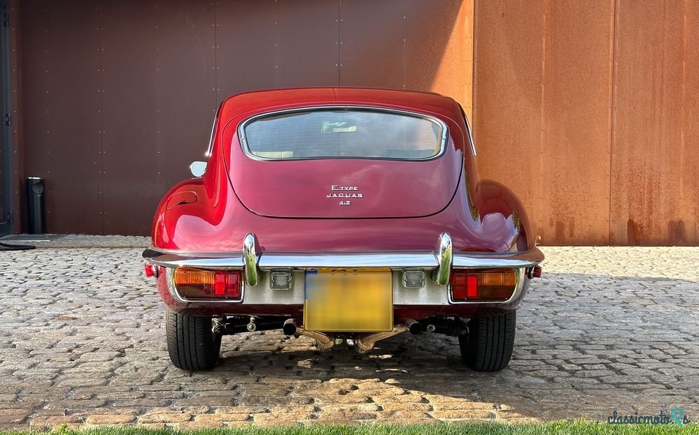 1969' Jaguar E-Type photo #5