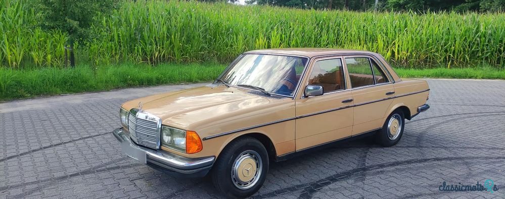 1977' Mercedes-Benz W123 photo #3