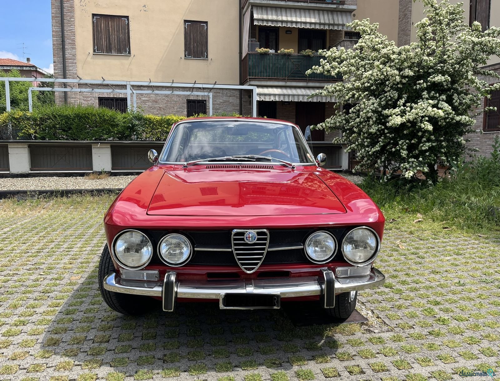 1971' Alfa Romeo 1750 Gtv photo #4