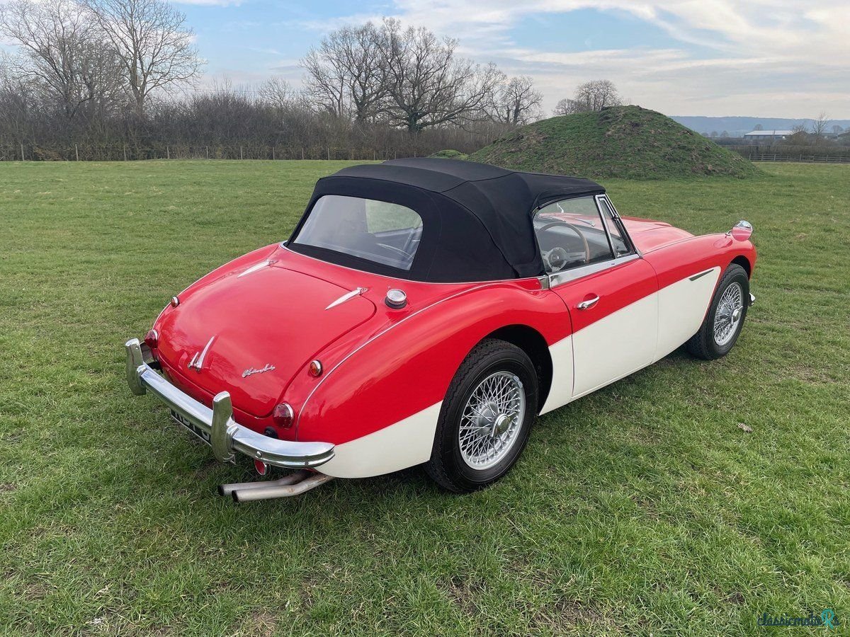 1965' Austin-Healey 3000 photo #4