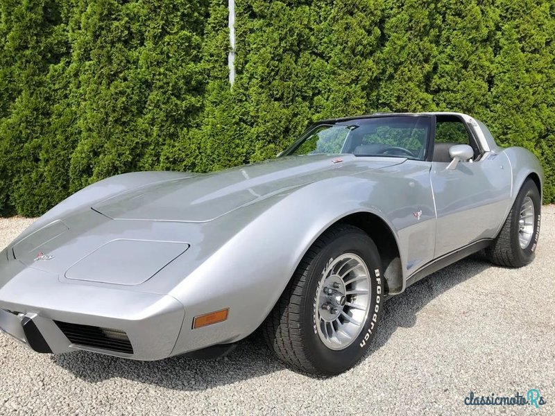 1979' Chevrolet Corvette photo #1