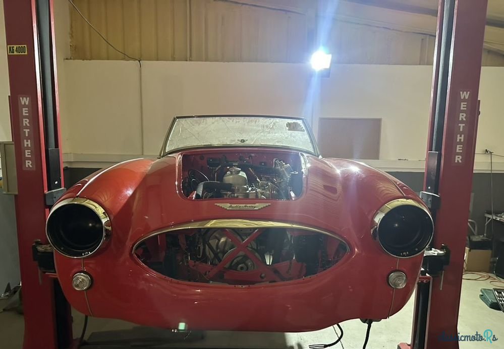 1958' Austin-Healey 3000 photo #2