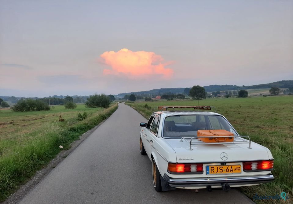 1979' Mercedes-Benz W123 photo #5