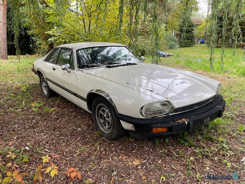 1976' Jaguar XJS photo #1