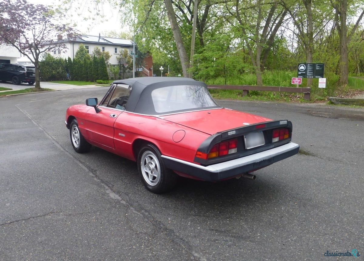 1986' Alfa Romeo 4C Spider photo #6