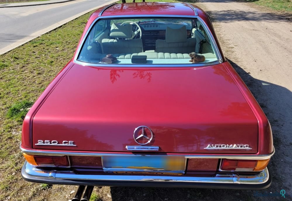 1970' Mercedes-Benz 250CE W114 photo #3
