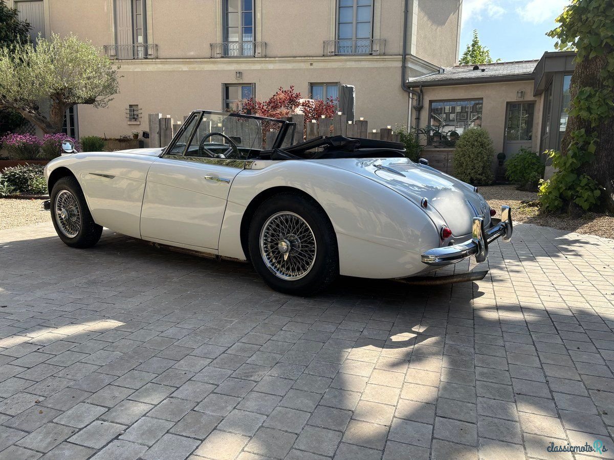 1963' Austin-Healey 3000 photo #6