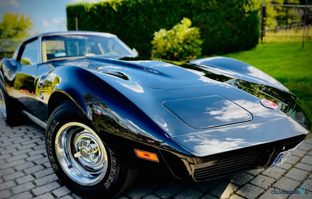 1973' Chevrolet Corvette photo #1