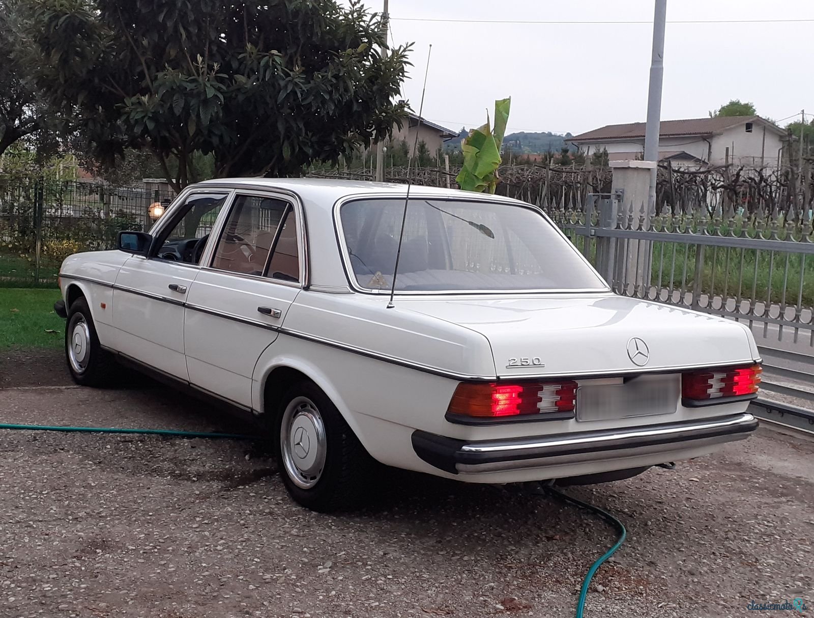 1978' Mercedes-Benz 250 W123 photo #2