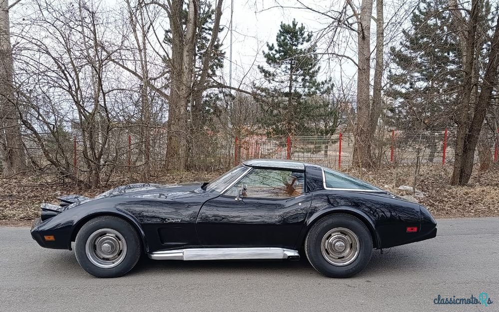 1979' Chevrolet Corvette photo #2