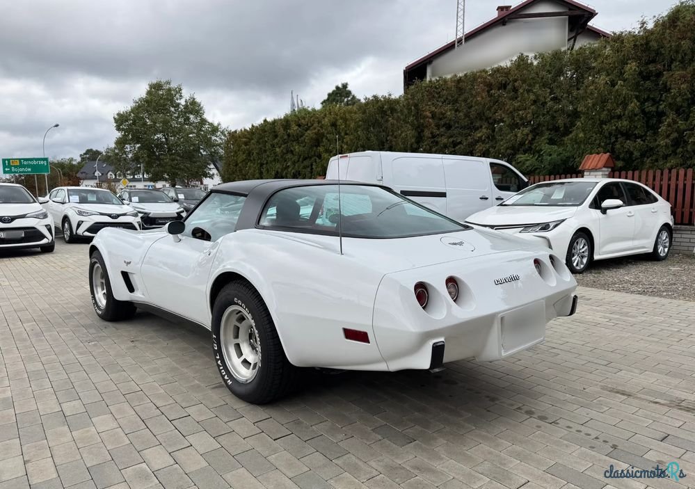 1979' Chevrolet Corvette photo #3