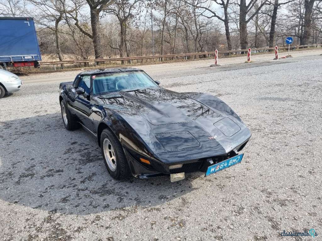 1979' Chevrolet Corvette photo #3