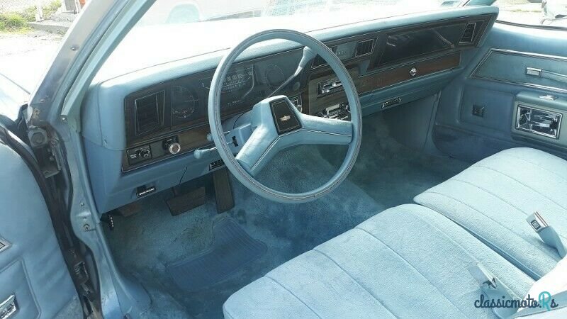 1979' Chevrolet Caprice photo #5