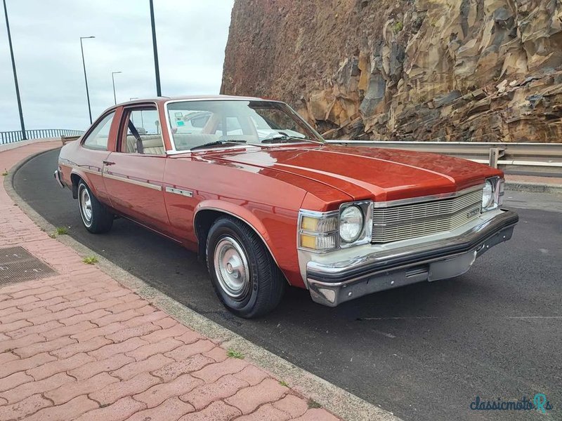 1976' Buick Skylark photo #4