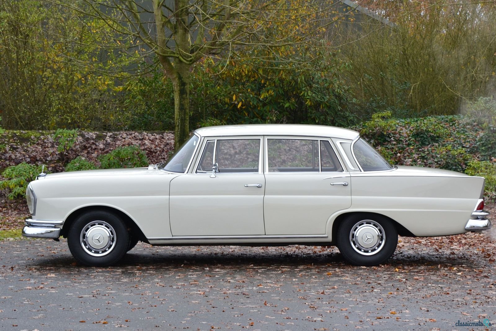 1961' Mercedes-Benz 220 S photo #2