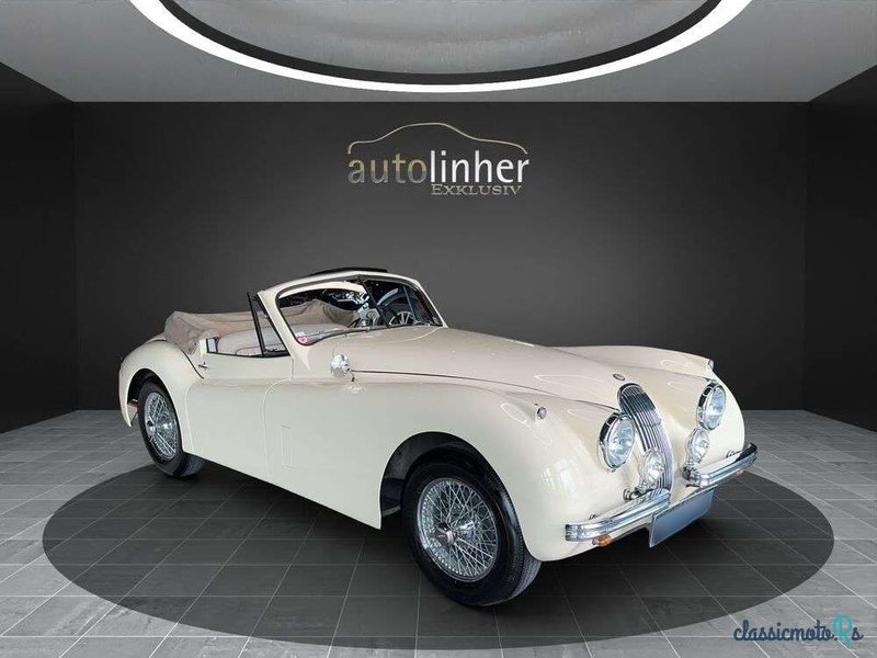 1954' Jaguar XK photo #6