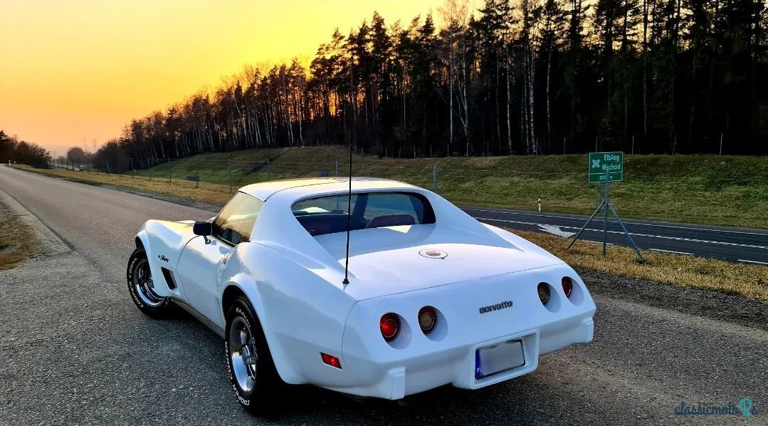 1975' Chevrolet Corvette photo #4
