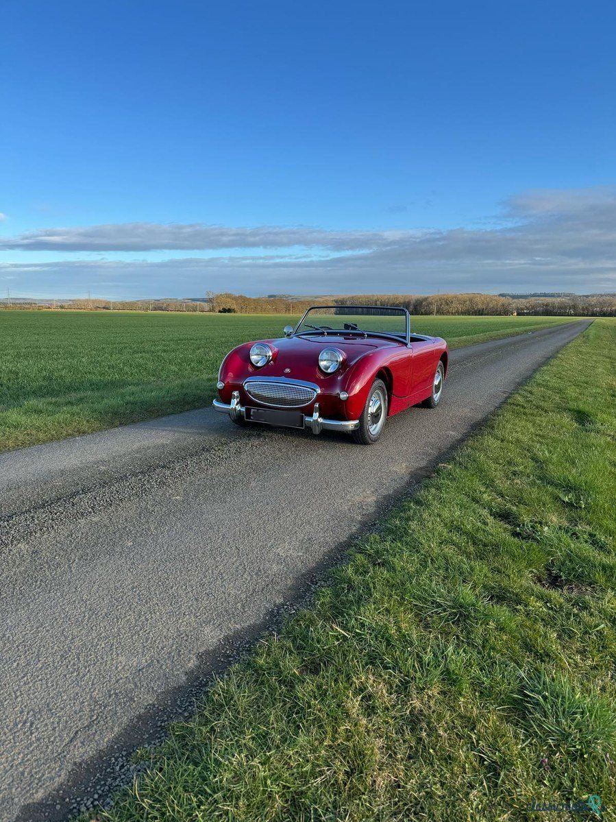 1960' Austin-Healey Sprite photo #3