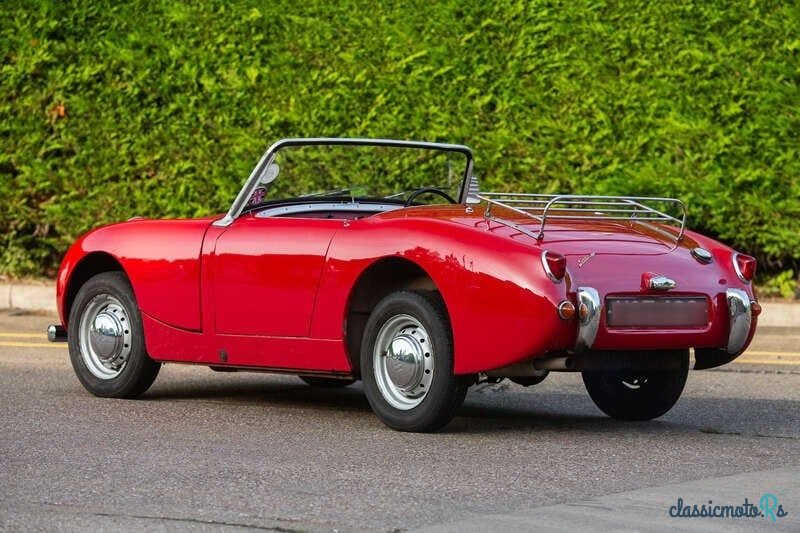 1959' Austin-Healey Sprite photo #4