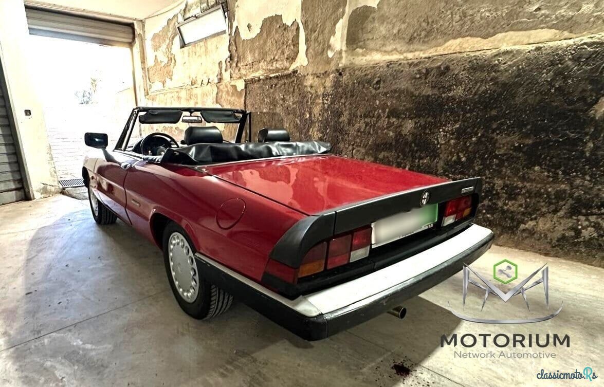 1989' Alfa Romeo Spider photo #3