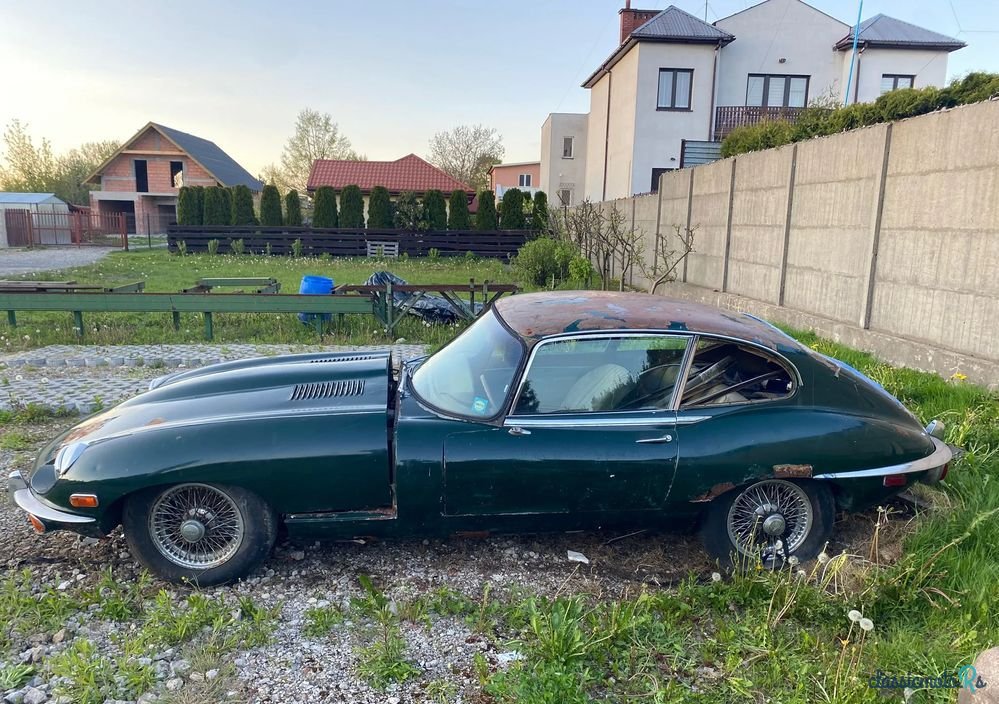 1969' Jaguar E-Type photo #1