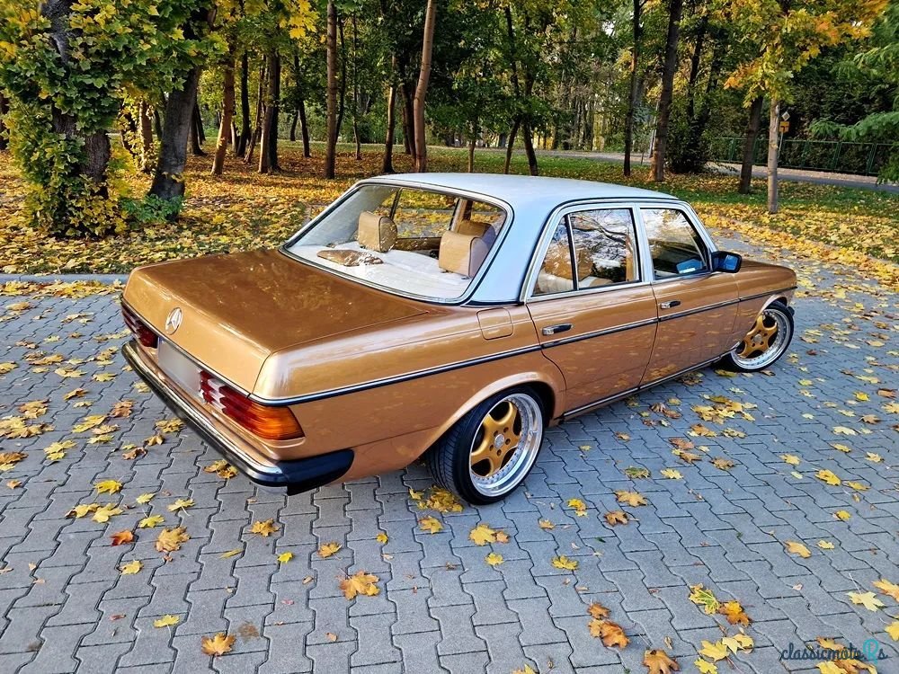 1979' Mercedes-Benz W123 photo #3