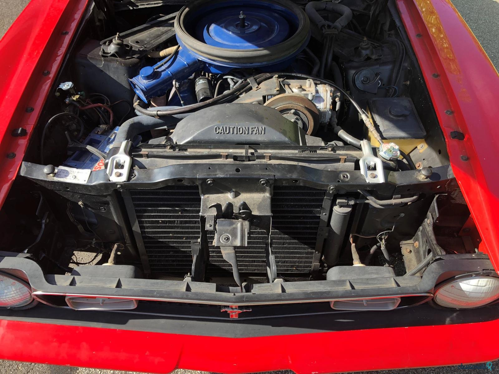 1971' Ford Mustang Mach 1 photo #2