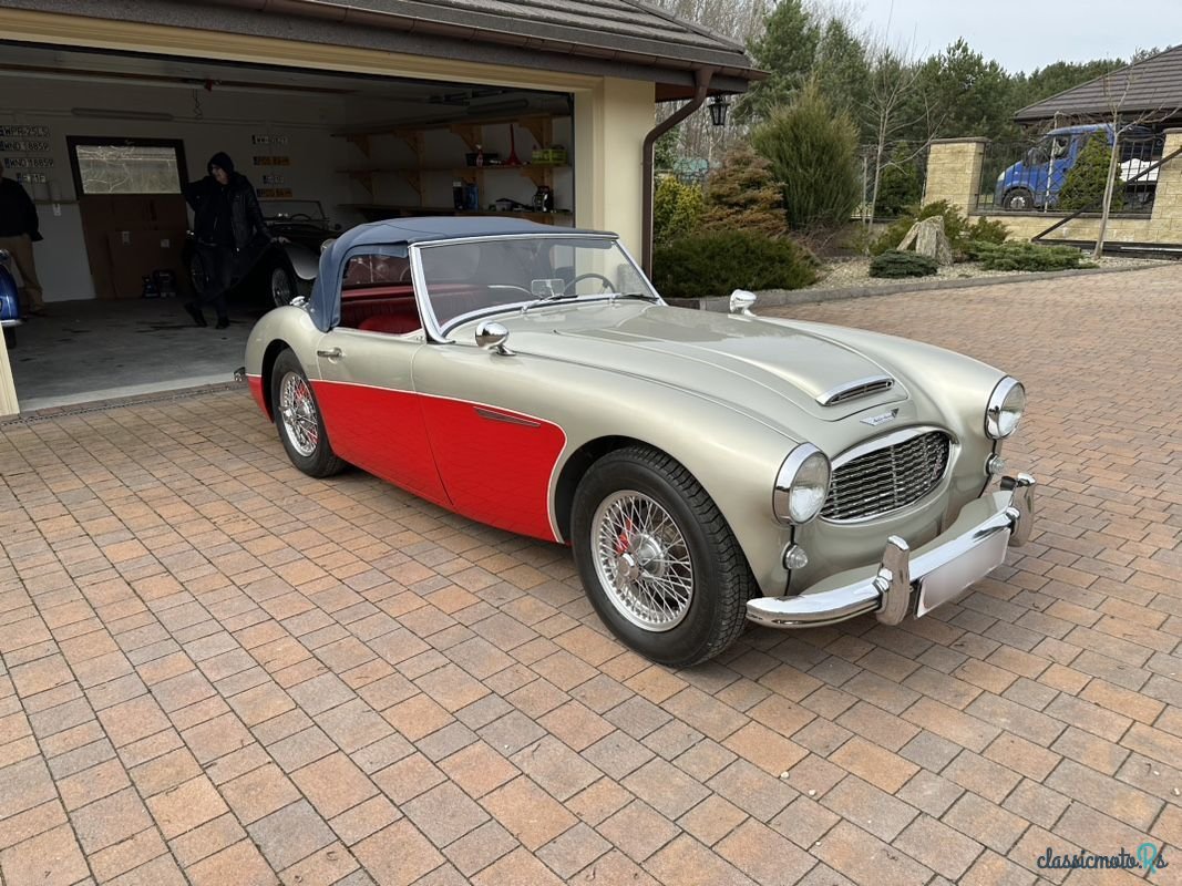 1960' Austin Healey photo #1