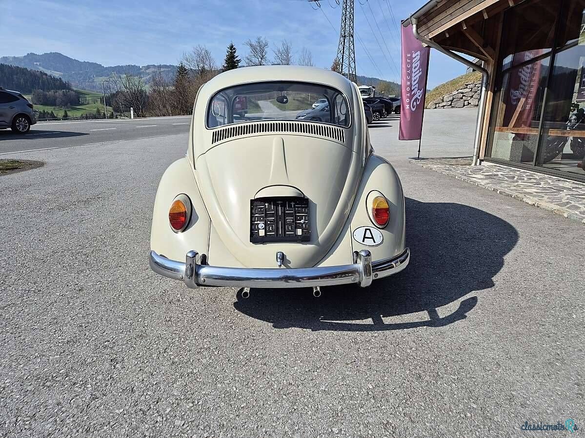 1965' Volkswagen Käfer photo #4
