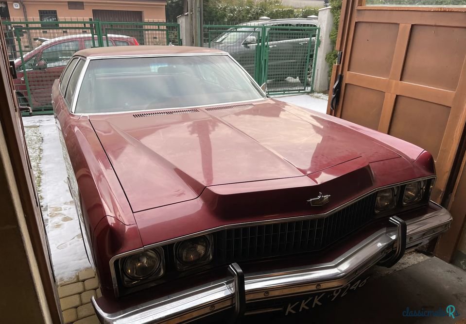 1973' Chevrolet Caprice photo #3