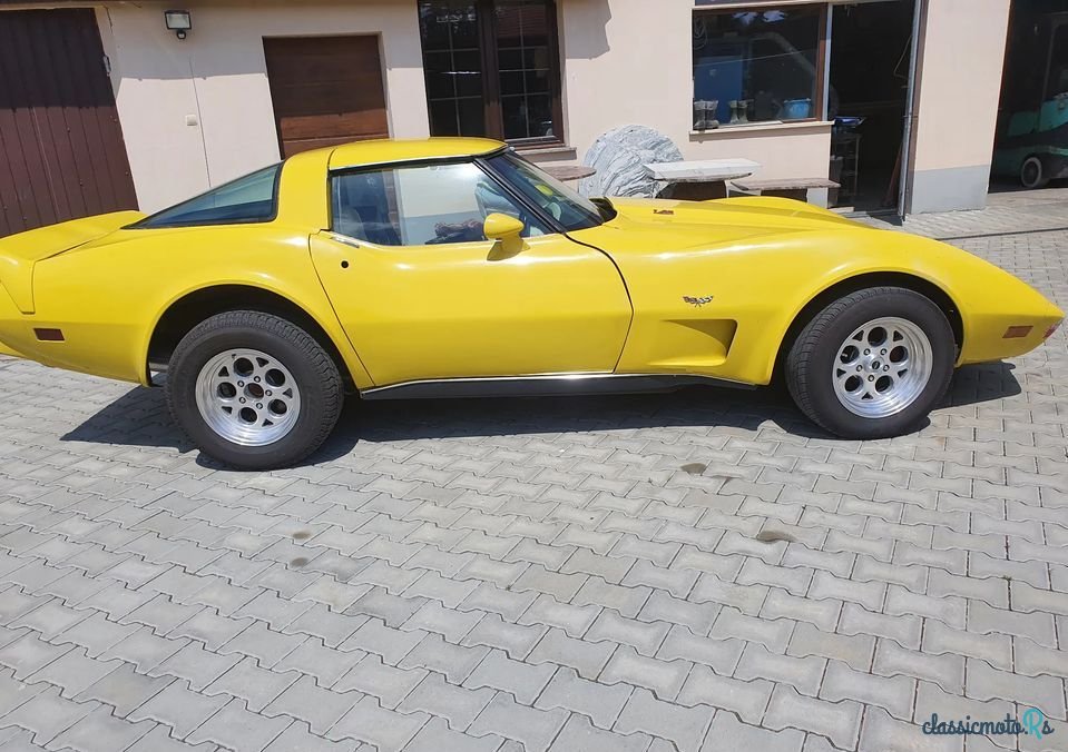 1979' Chevrolet Corvette photo #1