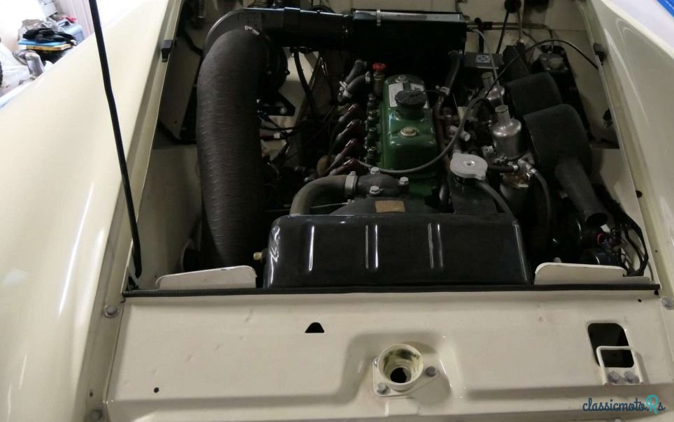 1965' Austin-Healey Sprite Mk III photo #5