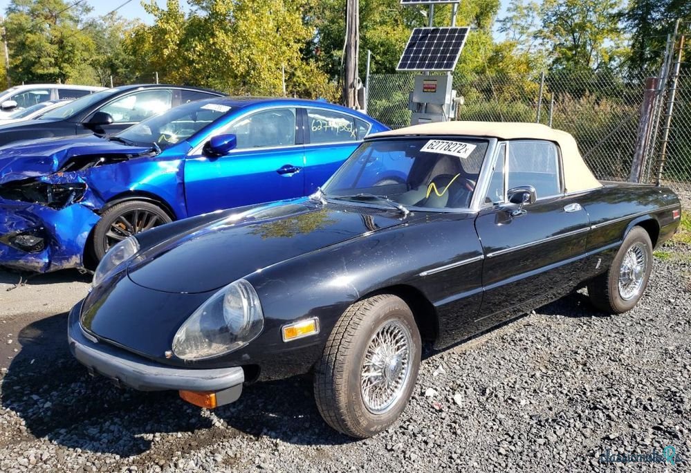 1979' Alfa Romeo Spider photo #1