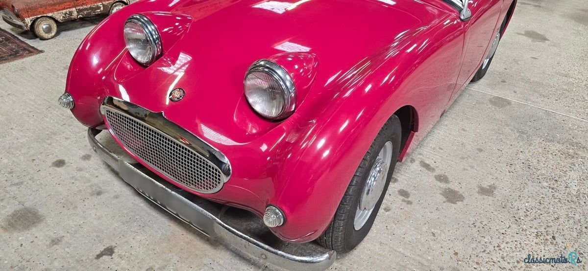 1959' Austin-Healey Sprite photo #4