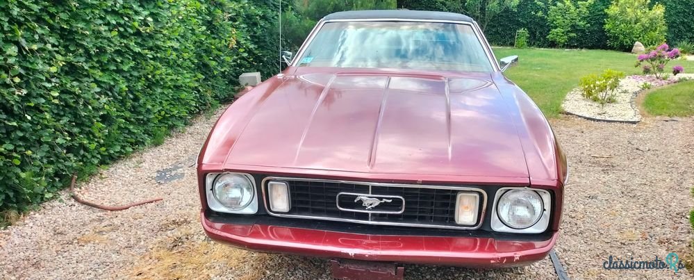 1973' Ford Mustang photo #1