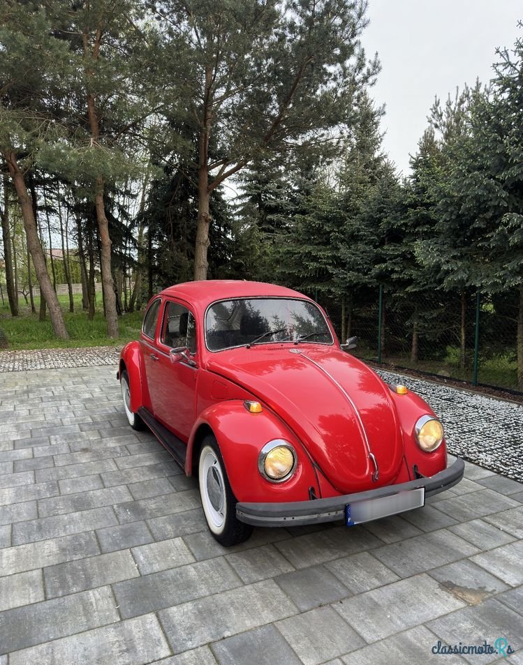 1969' Volkswagen Garbus photo #1