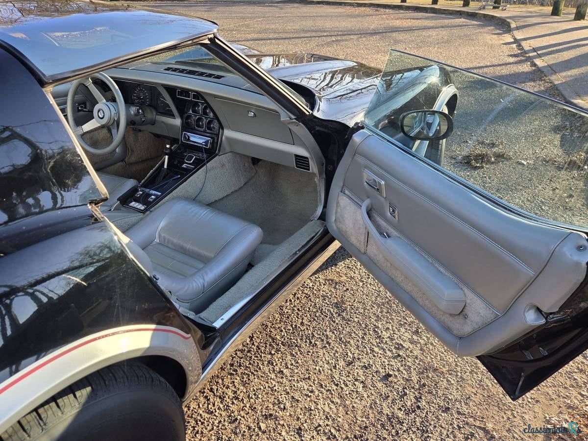 1978' Chevrolet Corvette photo #6