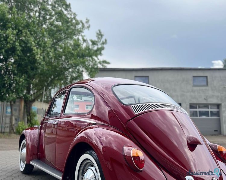 1965' Volkswagen Garbus photo #6