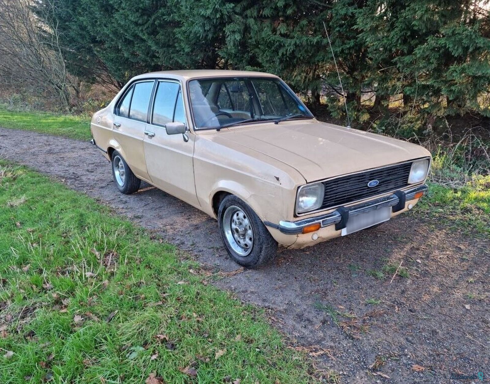 1979' Ford Escort Mk2 1600 Gl photo #2