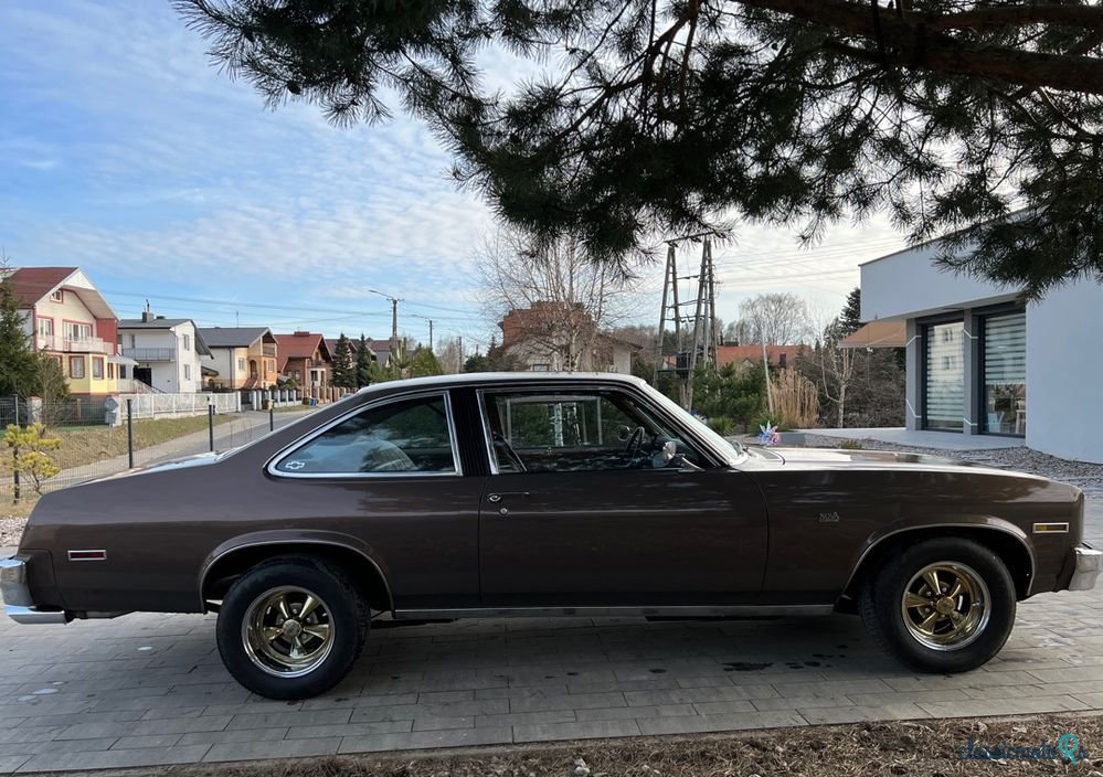 1979' Chevrolet Nova photo #6