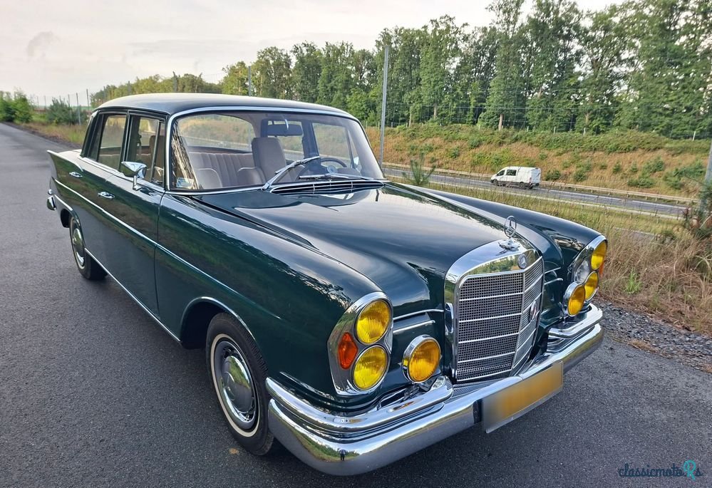 1965' Mercedes-Benz W111 photo #5
