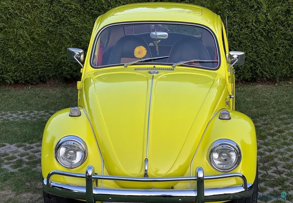 1968' Volkswagen Garbus photo #1