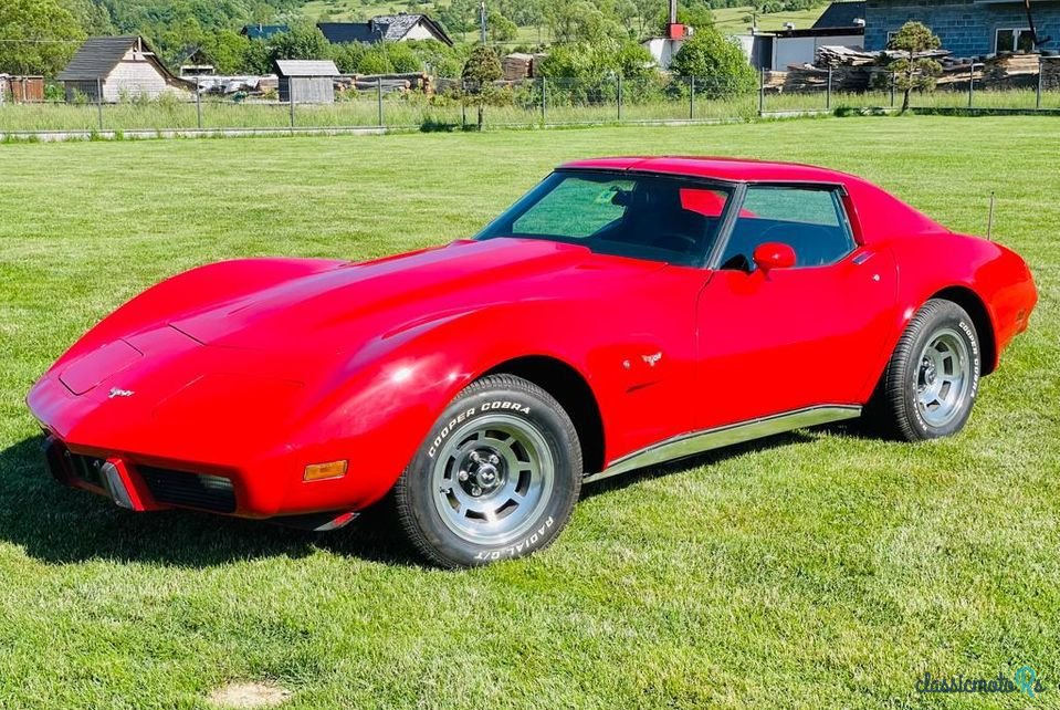 1977' Chevrolet Corvette photo #3