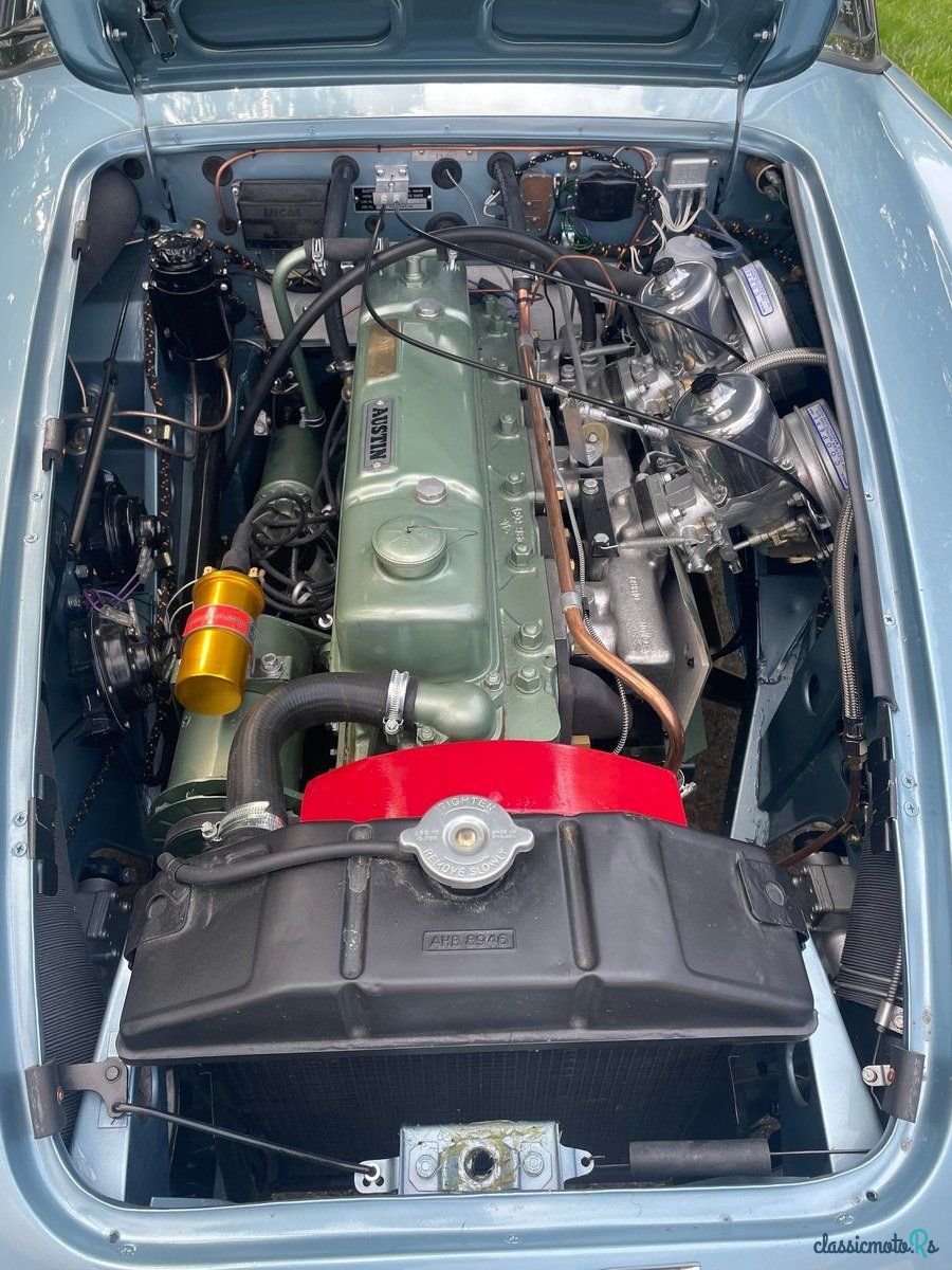1964' Austin-Healey 3000 photo #5