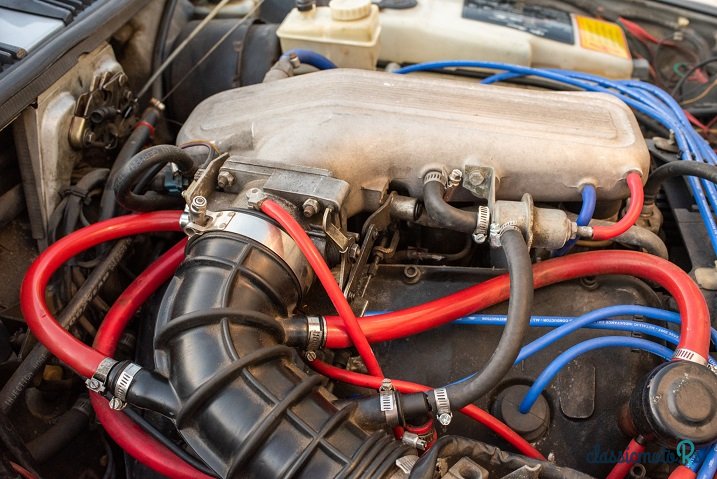 1982' Alfa Romeo GTV photo #5