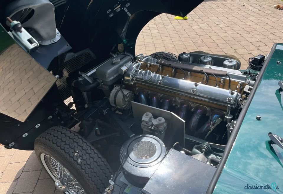 1966' Jaguar E-Type photo #6