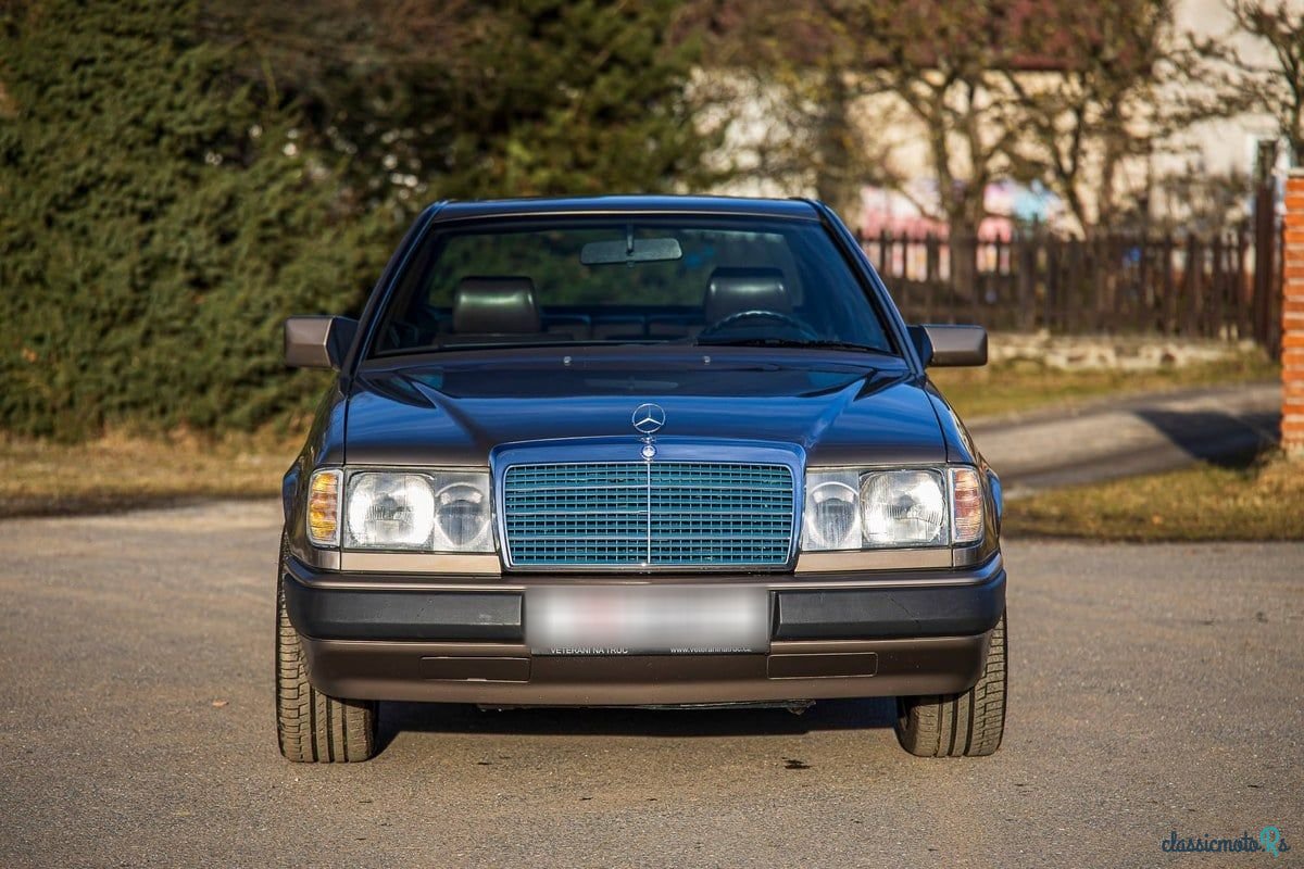 1989' Mercedes-Benz 300 photo #6