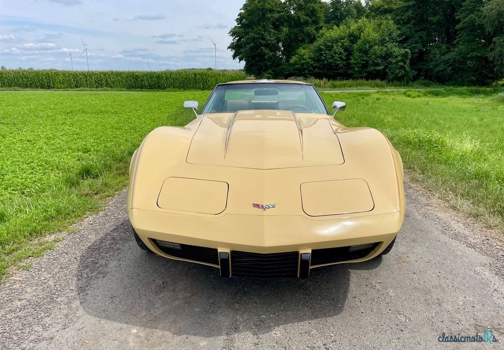 1977' Chevrolet Corvette photo #2