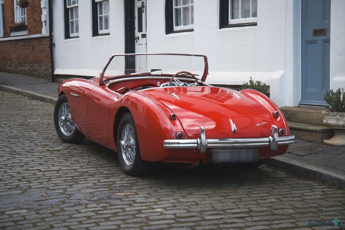 1955' Austin-Healey 100/4 photo #5