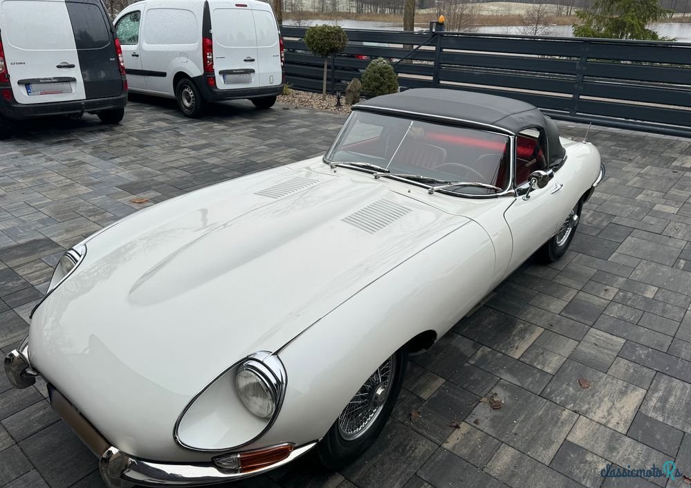 1968' Jaguar E-Type photo #3